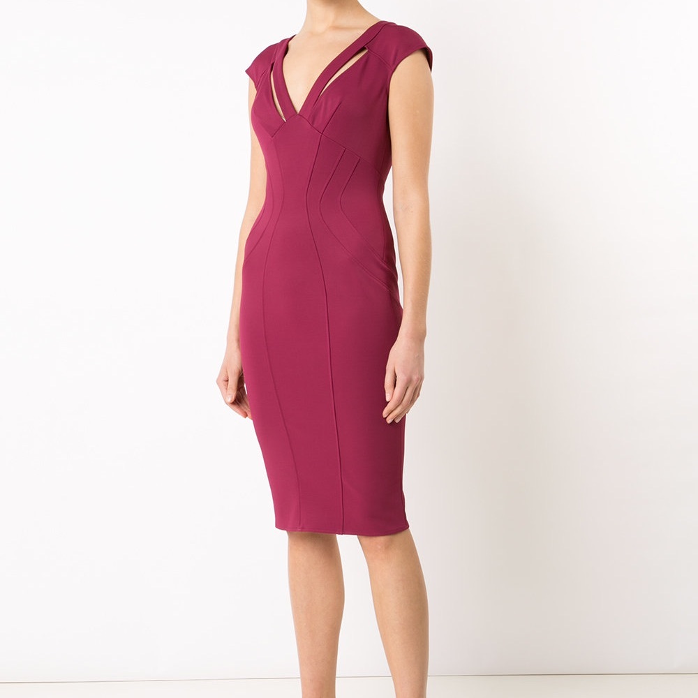 ZAC Zac Posen Joni dress NWT